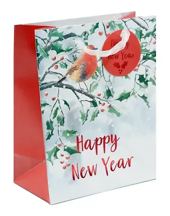 Пакет А5 23*18*10 