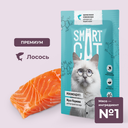 Консервы, паучи Smart Cat паучи Паучи для взрослых кошек и котят кусочки лосося в нежном соусе. Влажный корм (85 г)