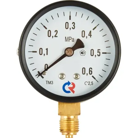 Манометр радиальный Росма 6 бар 1/4