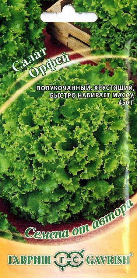 Семена Салат Гавриш Орфей, 1 г равиль джафярович панчеев прекрасные дуа аудиозаписи по qr коду