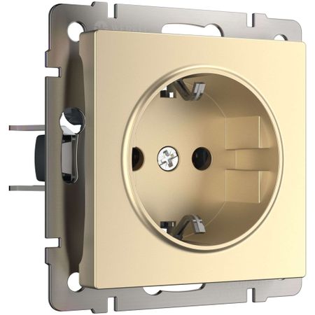 Розетка Werkel встраиваемая шампань со шторками (a050858) экслибрисы и штемпели частных коллекций в фондах исторической библиотеки вып 1 2 е изд перераб и доп