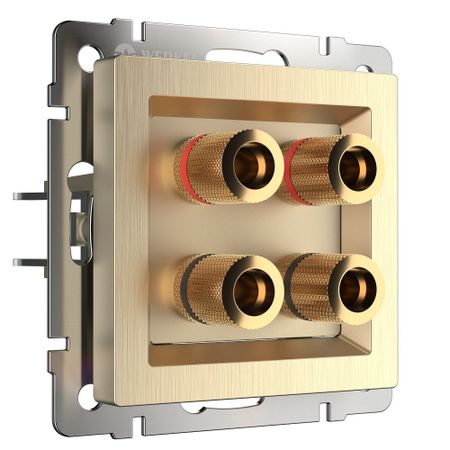 Розетка акустическая Werkel встраиваемая шампань рифленая (a051421) экслибрисы и штемпели частных коллекций в фондах исторической библиотеки вып 1 2 е изд перераб и доп