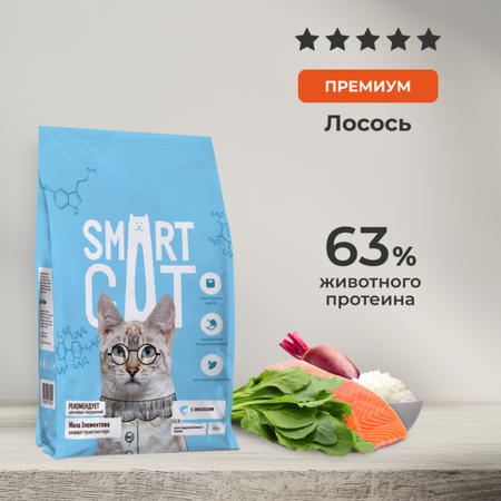 Сухие корма Smart Cat сухой корм Сухой корм для стерилизованных кошек с чувствительным пищеварением с лососем, SENSITIVE DIGESTION, STERILISED, Salmon (5 кг) игорь анатольевич дамаскин 100 великих разведчиков