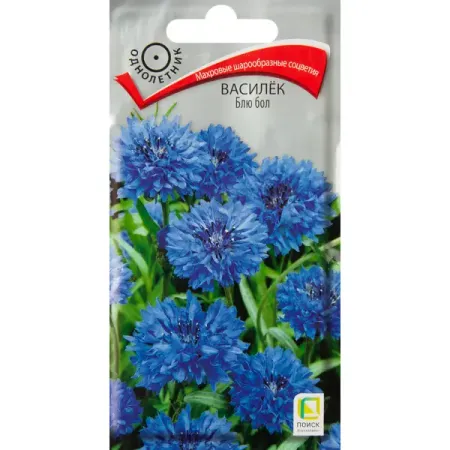 Василек Блю бол 1 г игорь сергеевич иванов украинский кризис через призму международных отношений