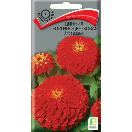 Семена цветов Поиск цинния георгиноцветковая Алое Пламя семена цинния алое пламя дом семян 0 22г