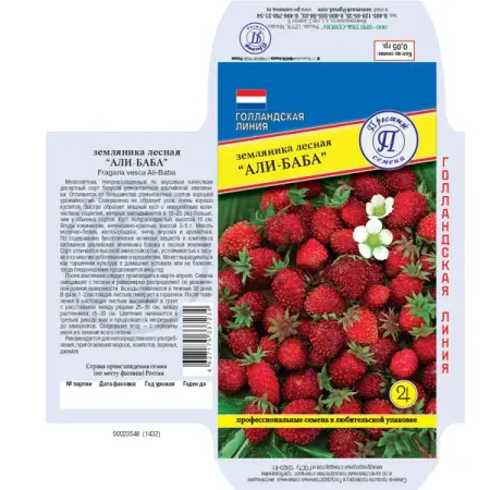 Семена ягод земляника Али Баба семена земляника лесная 30 шт