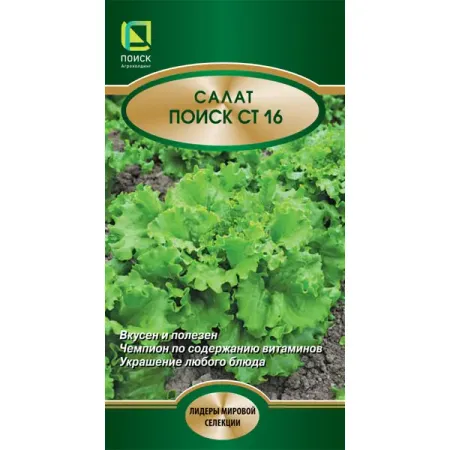 Семена трав Поиск салат Поиск СТ16