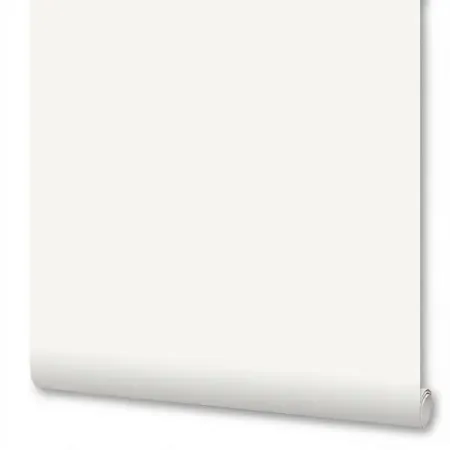 Обои флизелиновые Anturage Otto белые 1.06 м AN9011-02