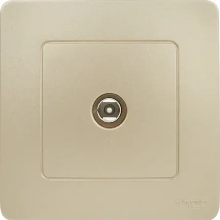 Телевизионный коннектор встраиваемый Systeme Electric Blanca цвет титановый