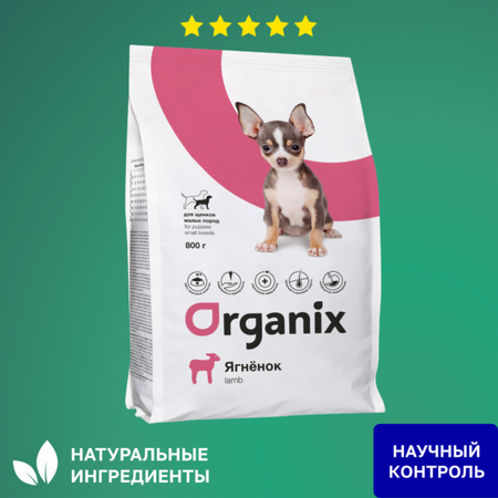 Еда Organix сухой корм Полнорационный сухой корм для щенков малых пород с ягненком для здорового роста и развития, 7,5 кг (7.5 кг) екклесиаст нахождение смысла жизни руководство для лидеров малых групп