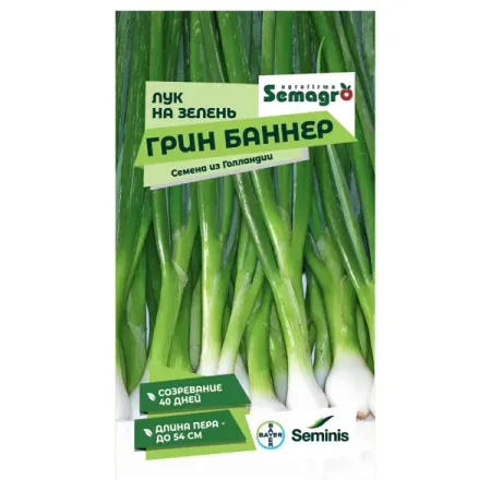 Семена овощей Seminis лук на зелень Грин Баннер артур авраам грин страдающий наставник