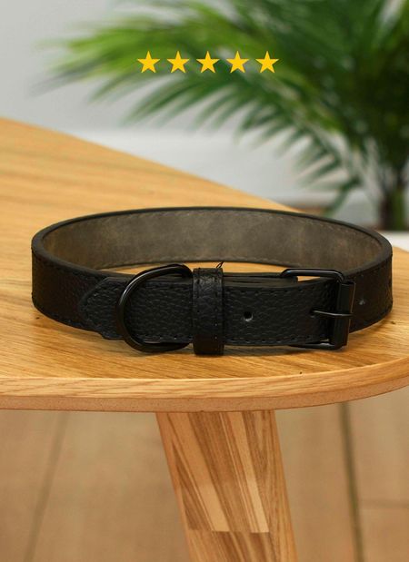 Ошейники, шлейки PETSHOP Ошейник для собак, цвет в ассортименте (2,5х47 см)