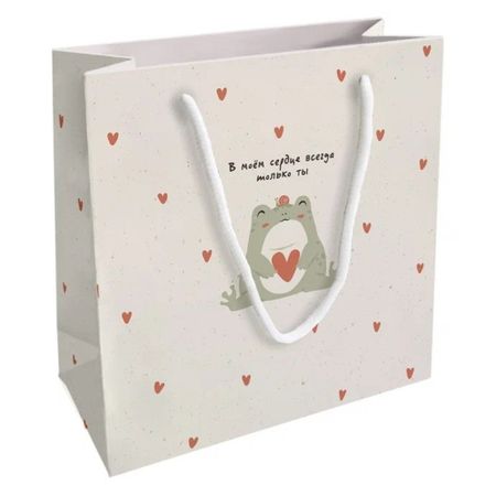 Пакет бумажный подарочный Be Smart 20х20 см. Коллекция 