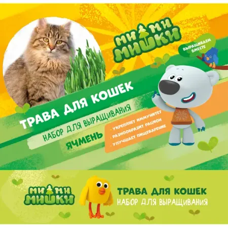 Набор для выращивания Ми-ми-мишки Трава для кошек ячмень фигурки кошек с краем weeddie