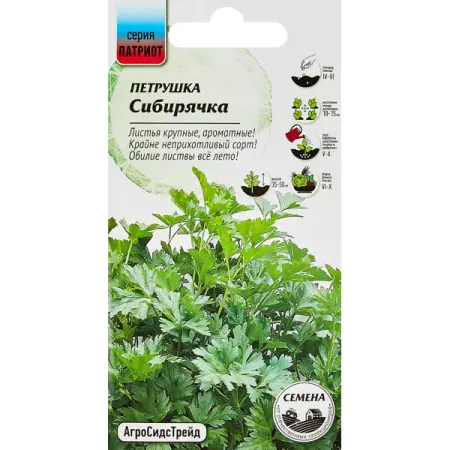 Семена пряных трав петрушка Сибирячка семена петрушка пышная особа 2г