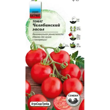 Семена овощей Патриот томат Челябинский засол 20 шт. красный грузовик рождественский декор венок деревянный винтажный декор для осеннего сбора урожая на день благодарения 1шт