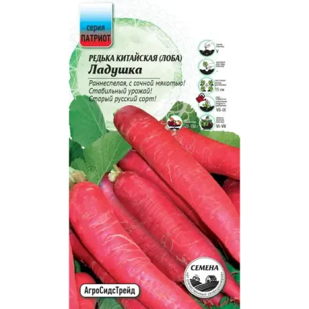 Семена овощей Патриот редька Ладушка семена сидератов редька масличная 1 кг