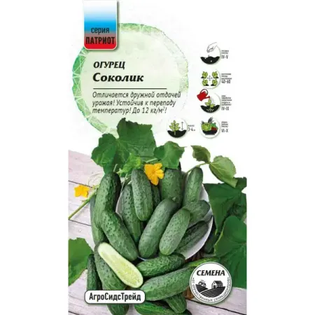 Семена овощей Патриот огурец Соколик 10 шт. семена огурец сладкий хруст 0 25г