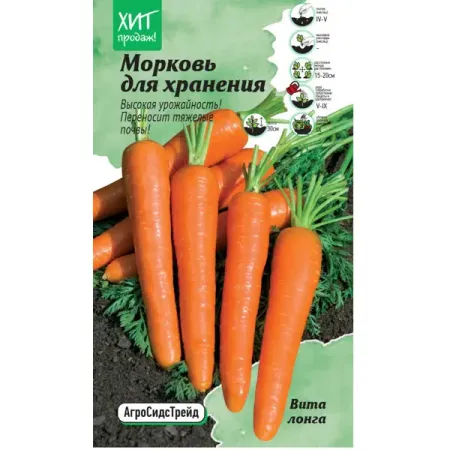 Семена овощей АСТ морковь для хранения Вита лонга вита а березовская узнаём мир с тимкой 3 года