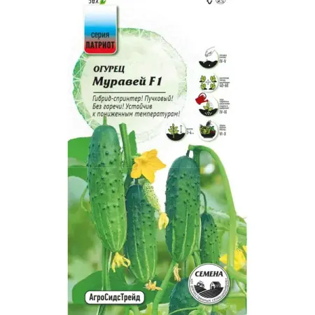 Семена овощей Патриот огурец Муравей 10 шт. дита ципфель бз з з з з з джонни самый странный муравей