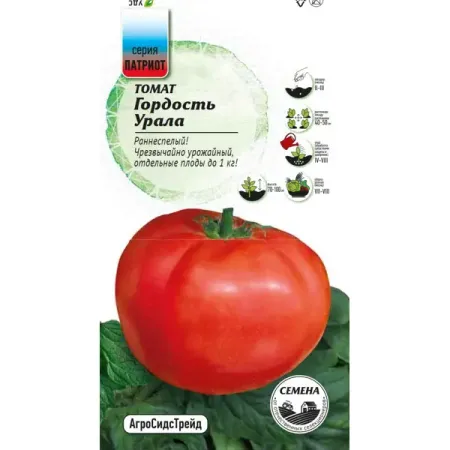 Семена овощей Патриот томат Гордость Урала 20 шт. рыбы среднего урала справочник определитель богданов в сократ
