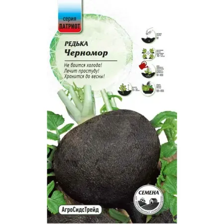Семена овощей Патриот редька Черномор семена сидератов редька масличная 1 кг