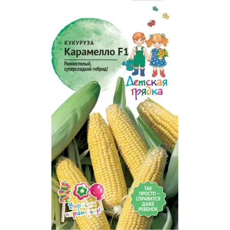 Семена овощей Детская грядка кукуруза Карамело 5 шт.