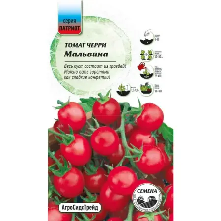 Семена овощей Патриот томат черри Мальвина 12 шт. алена черничная его мальвина с автографом
