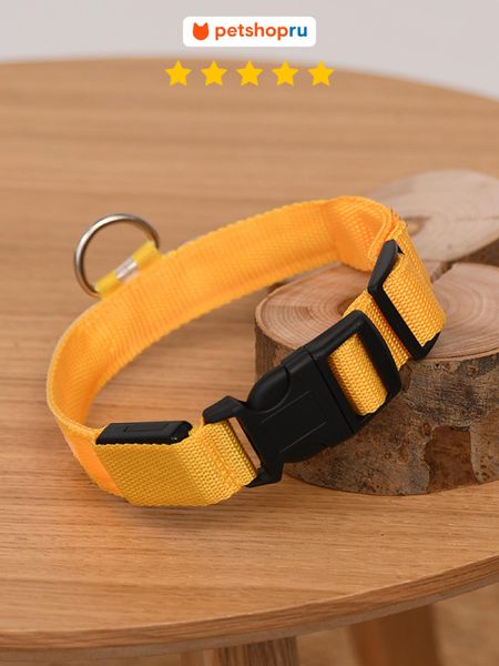 Ошейники, шлейки PETSHOP Светодиодный ошейник, M (M)