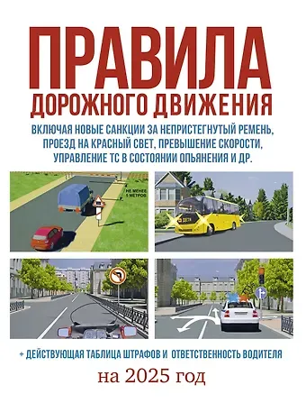 Правила дорожного движения на 2025 год. Действующая таблица штрафов и ответственность водителя