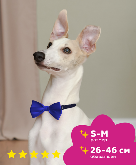 Ошейники, шлейки Tappi одежда Бабочка 