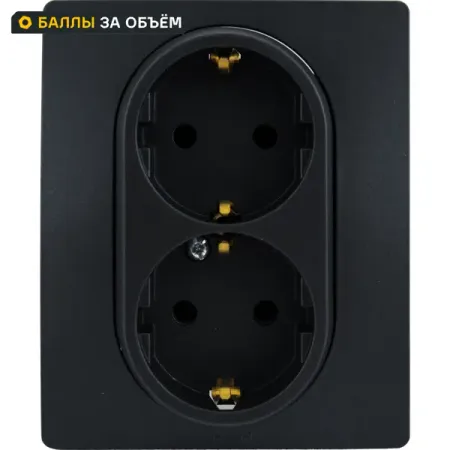 Розетка двойная с заземлением Legrand Etika без шторок в сборе 16А 250В винтовые зажимы цвет антрацит