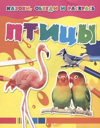 Назови, обведи и раскрась. Птицы