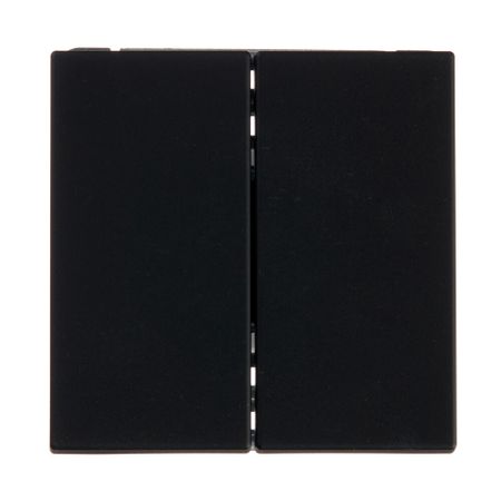 Переключатель Systeme Electric ArtGallery двухклавишный встраиваемый карбон (GAL001065)