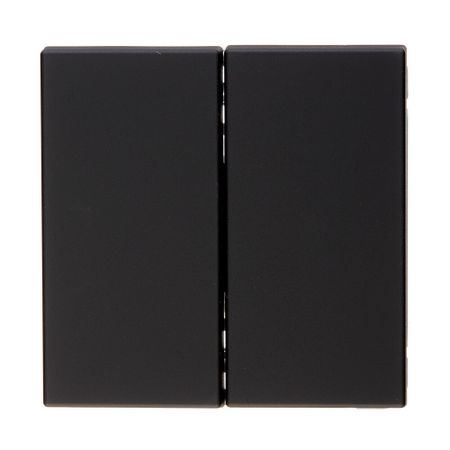 Выключатель Systeme Electric ArtGallery двухклавишный встраиваемый карбон (GAL001051)