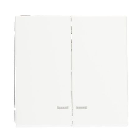 Выключатель Systeme Electric ArtGallery двухклавишный встраиваемый белый с подсветкой (GAL000153) виктор майер шенбергер кеннет кьюкер фрэнсис де верикур эффект фрейминга как управлять вниманием потребителя в цифровую эпоху