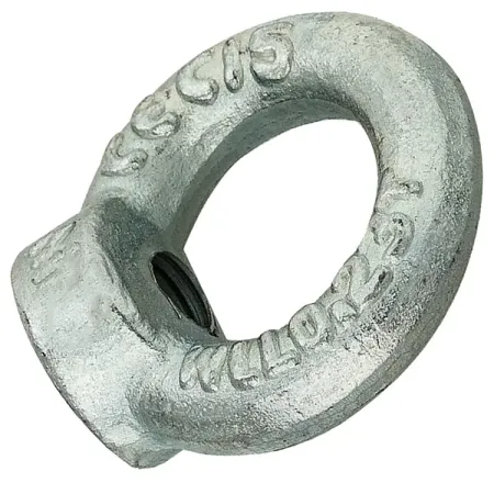 Рым-гайка М10 DIN 582 10 мм (1 шт.)