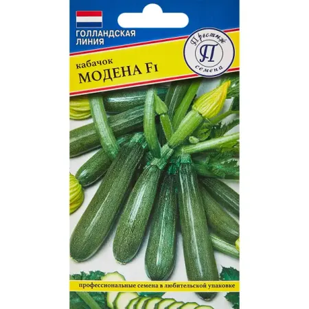 Семена овощей Престиж кабачок Модена F1