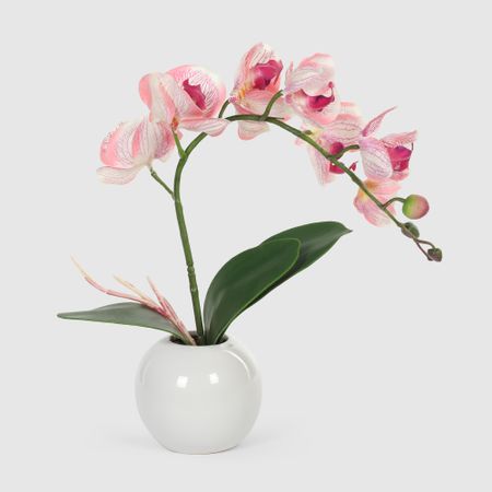 Орхидея в белом кашпо Конэко-О 556_10163185 40 см