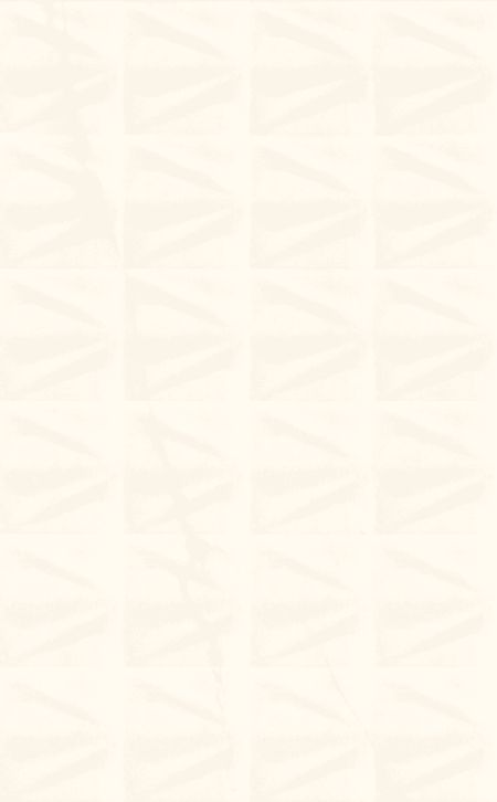 Плитка облицовочная Unitile Микс белая 2 400х250х8 мм (14 шт.=1,4 кв.м)