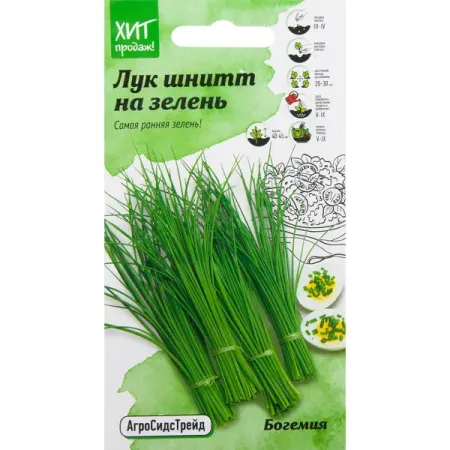 Семена Лук на зелень «Богемия» 0.5 г суккулент литопс lithops mix семена 10 шт