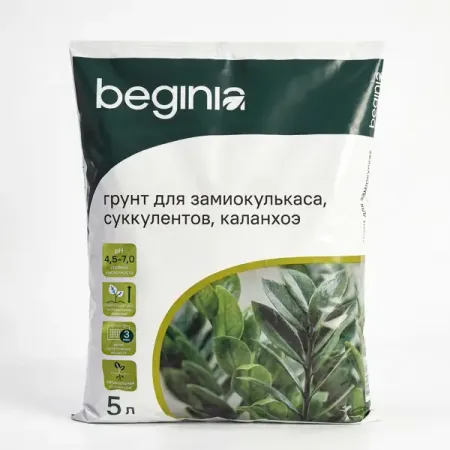 Грунт BEGINIA для суккулентов 5 л определитель влажности почвы maxiterra лягушка 28см
