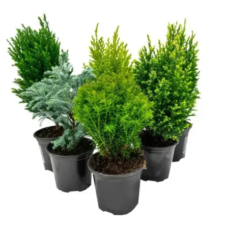 Хвойные микс ø17 h40 - 50 см искусственные сосновые ветви для елки