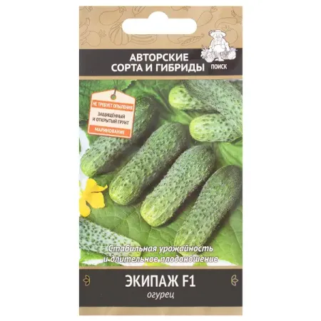 Семена Огурец «Экипаж» F1 владимир викентьевич лапин броненосец русалка корабль экипаж флот трагедия памятник м лапин