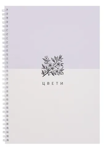 Тетрадь А4 80 листов в клетку 