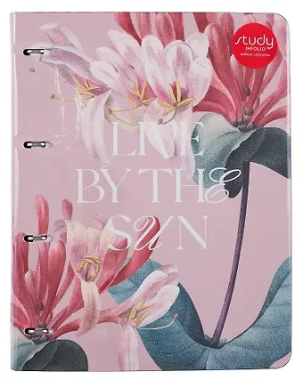 Тетрадь А4 120л кл. 