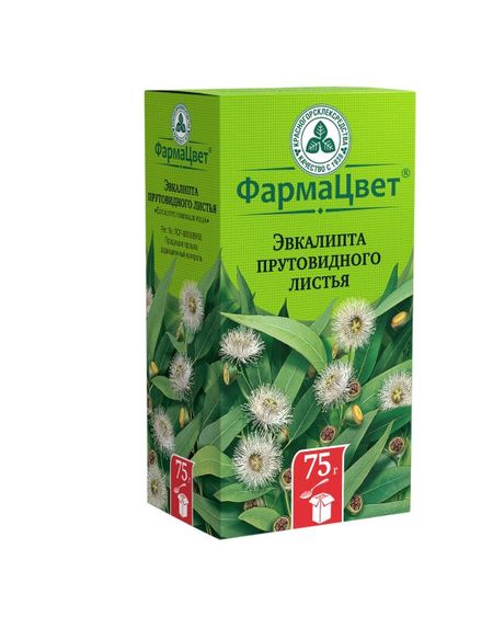 ЭВКАЛИПТ ПРУТОВИДНЫЙ ЛИСТЬЯ КРАСНОГОРСК 75 гр