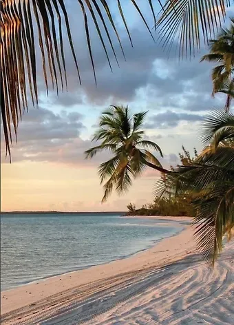 Мария Арефьева Метафорические ассоциативные карты «Благополучие» (40 карт)