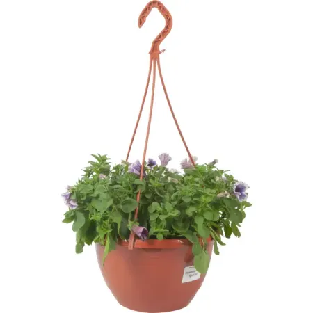 Петуния ампельная 25x22 см рождественские украшения из смолы moonbiffy