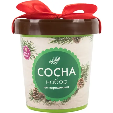 Сосна в горшке sunmade мисти сосна искусственные растения 6 шт